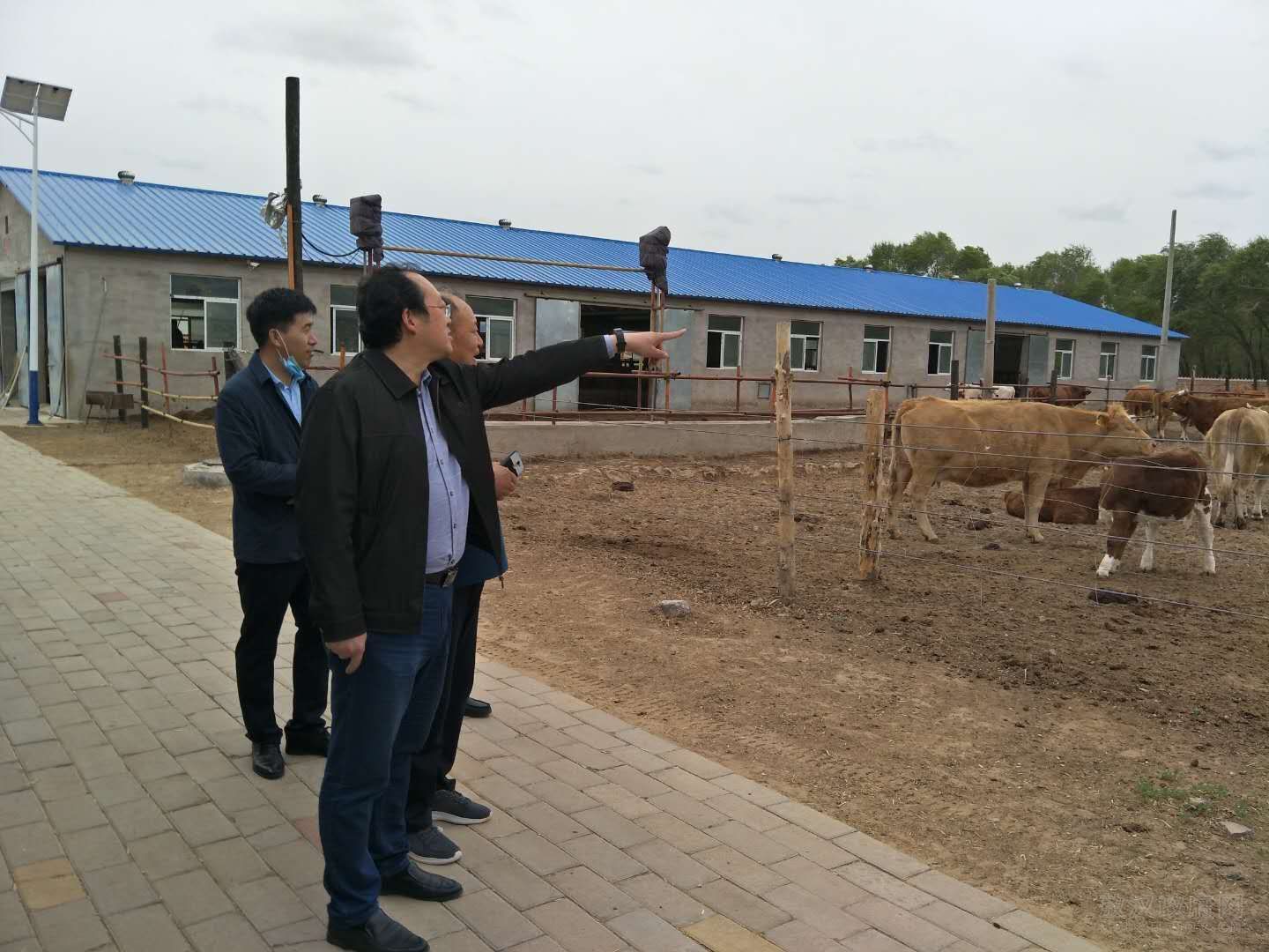 向敬阳到木头营子乡调研京蒙帮扶项目落实运营工作