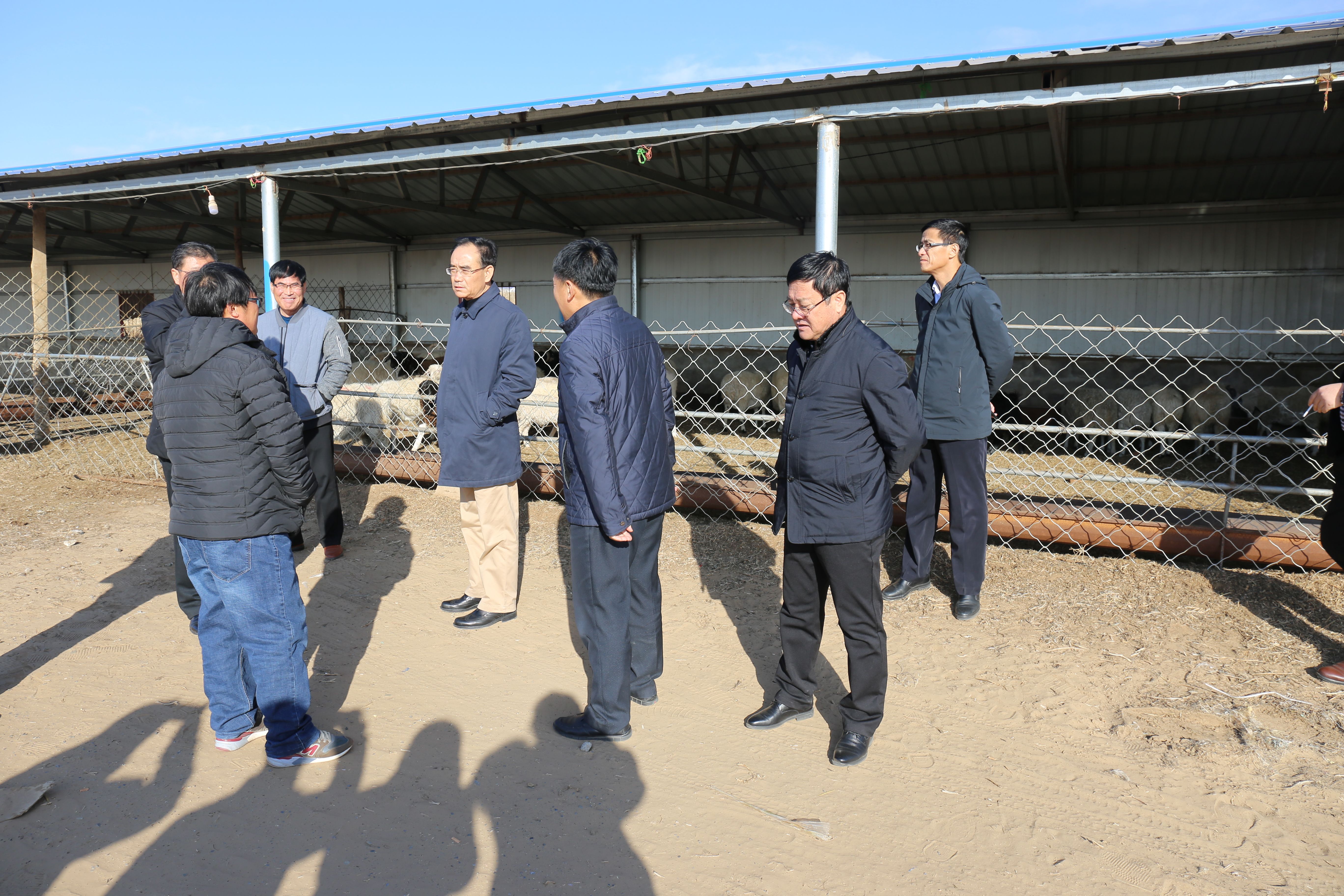 旗委书记邱文博到黄洋洼镇调研脱贫攻坚工作