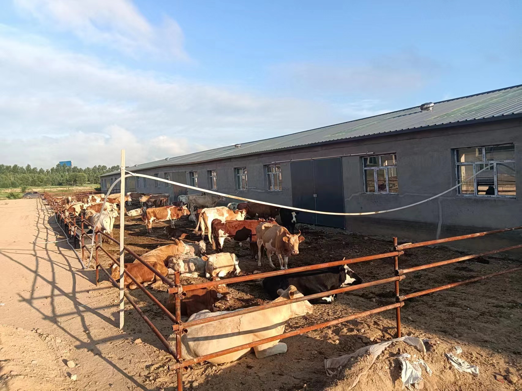 梨易游娱乐城- YY易游体育官方网站- 易游体育APP树县农村信用合作联社：发放