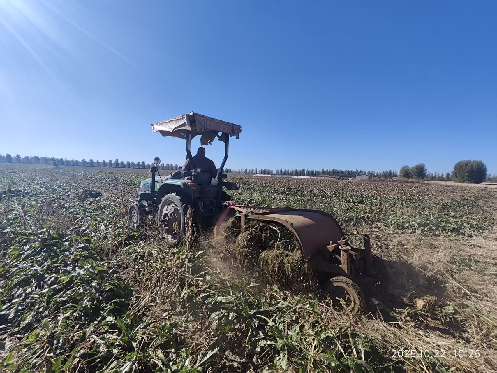 c281bc143f3da58f58f42b507417c82.jpg