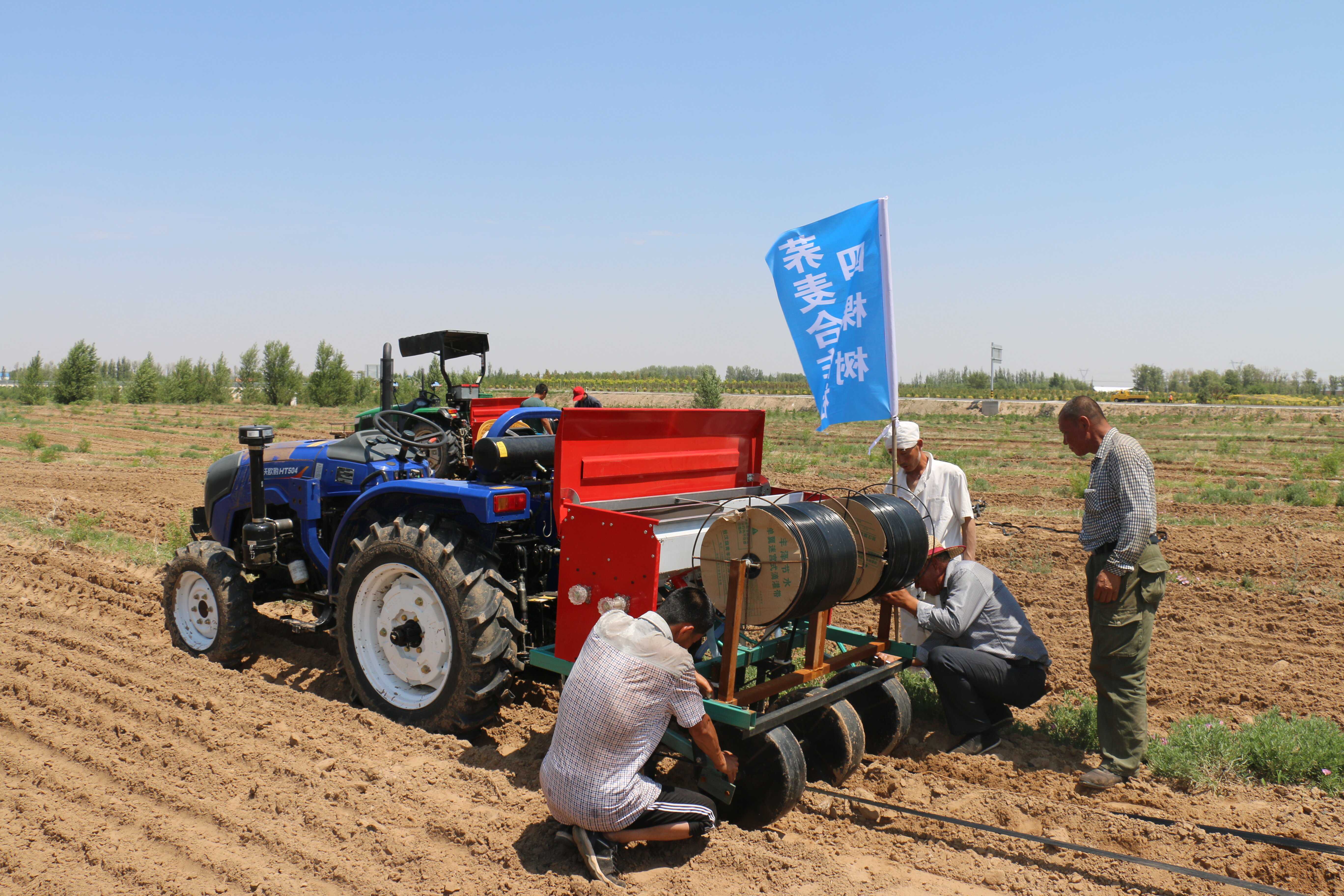 春播 黄镇宣_proc.jpg